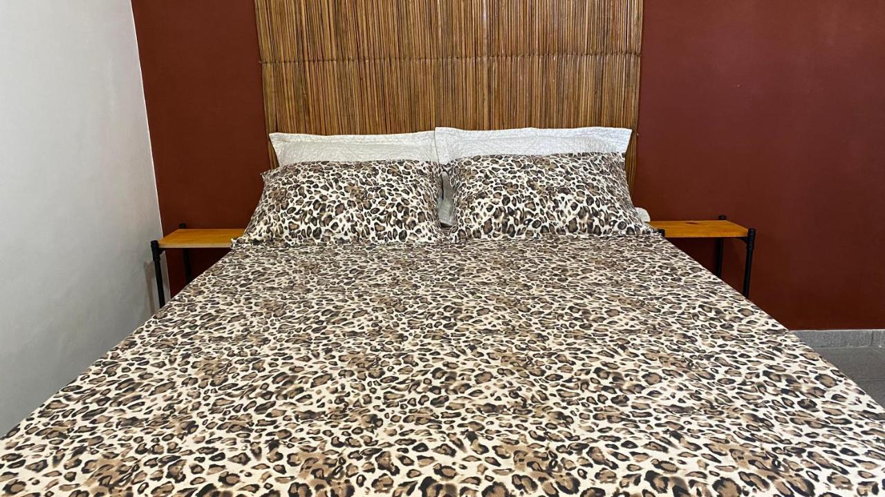 Luau Pousada E Hostel برايا دو فرانسيس المظهر الخارجي الصورة