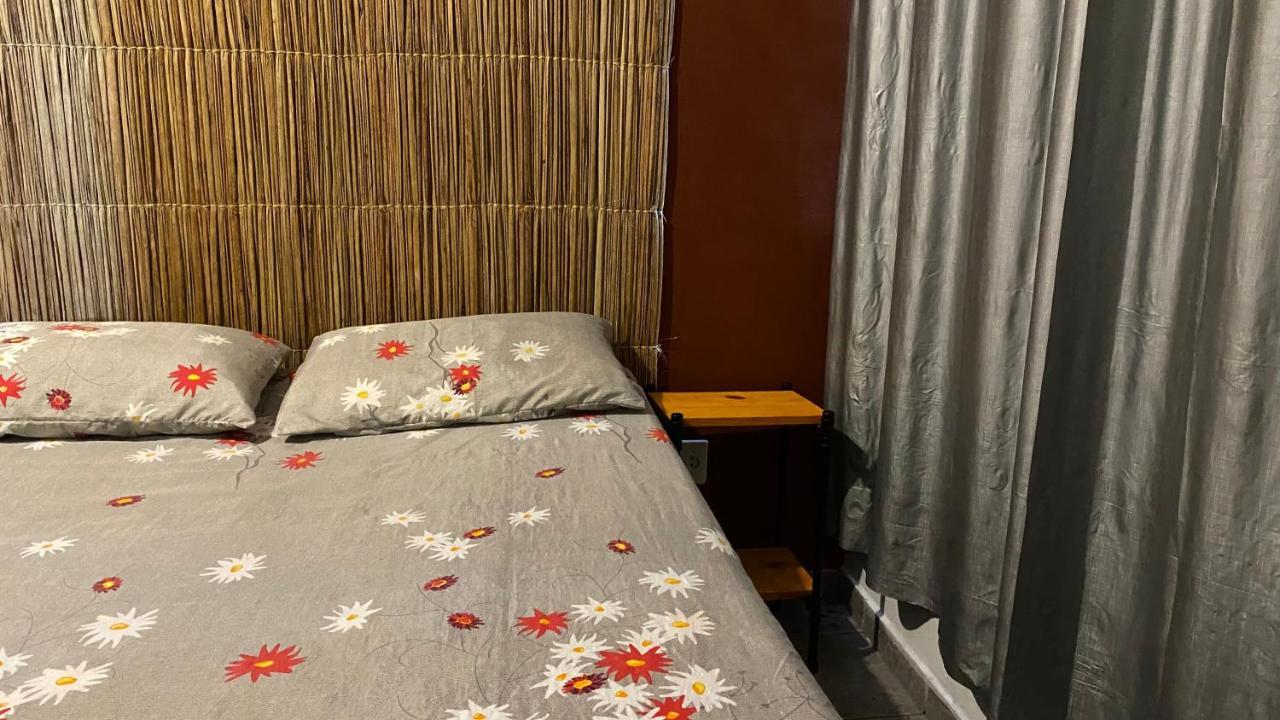 Luau Pousada E Hostel برايا دو فرانسيس المظهر الخارجي الصورة