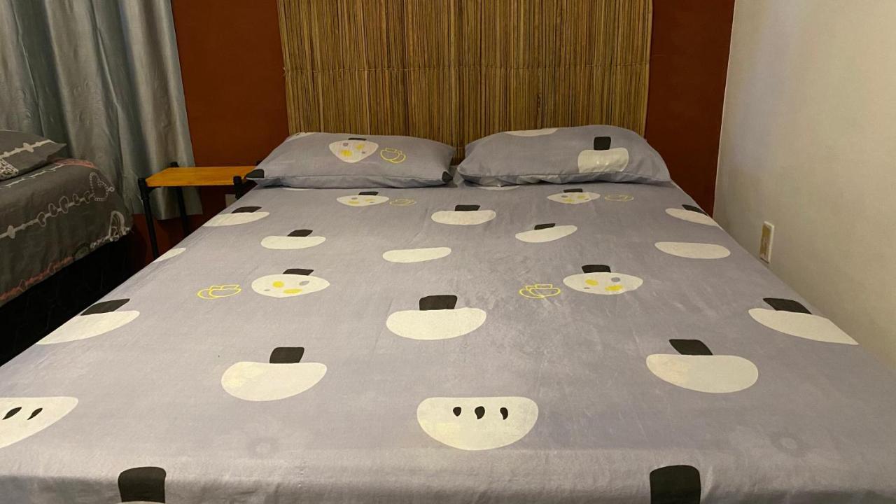 Luau Pousada E Hostel برايا دو فرانسيس المظهر الخارجي الصورة