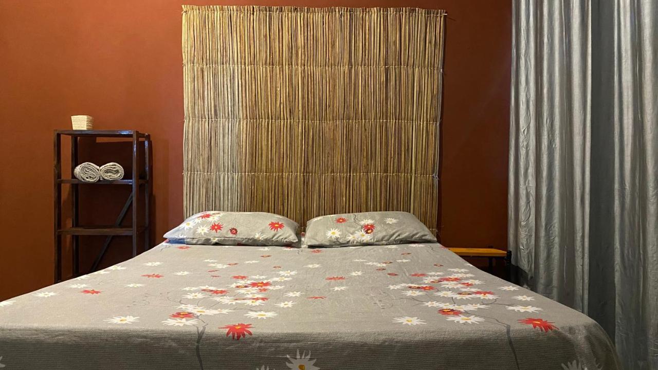 Luau Pousada E Hostel برايا دو فرانسيس المظهر الخارجي الصورة