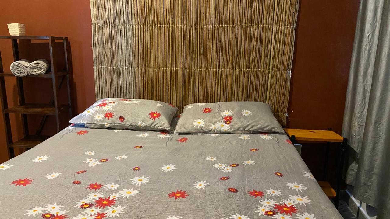 Luau Pousada E Hostel برايا دو فرانسيس المظهر الخارجي الصورة